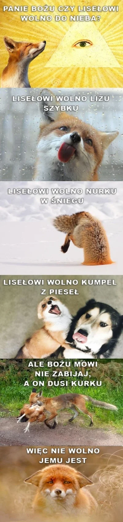 perfum - #smiesznypiesek #lisek #humorobrazkowy