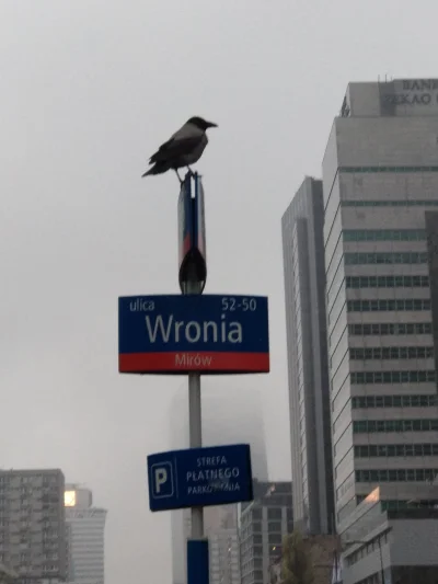 v.....n - #Warszawa #heheszki