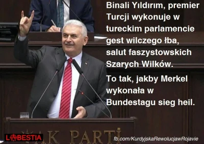 Paulinho - #turcja #faszyzm #akp #szarewilki #erdogan #sultan #bliskiwschod #bliskows...