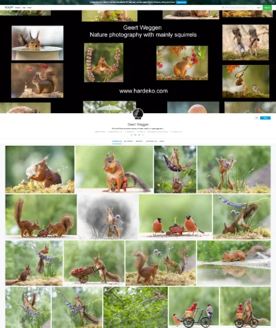 karma-zyn - Galeria autora:  Geert Weggen - squirrel and bird workshop in Sweden. web...