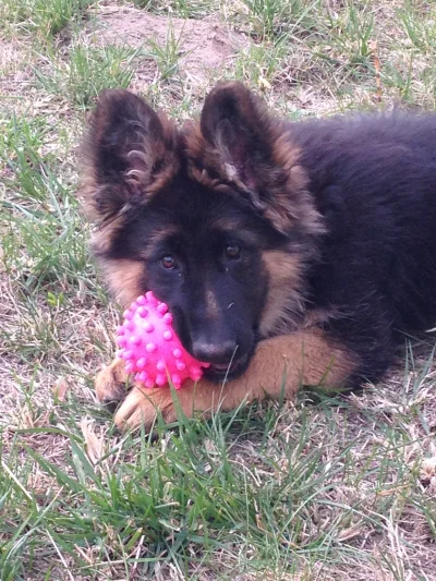 ArTwo - @Husi: Pozdro ( ͡° ͜ʖ ͡°)