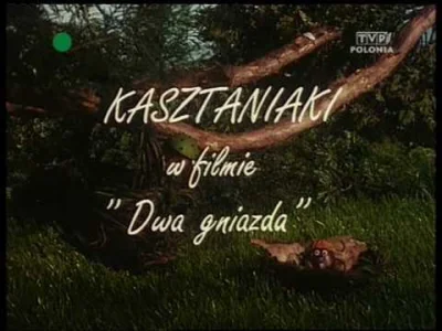 V.....i - Kto to taki? KASZTANIAKI!
#kasztaniaki #gimbynieznajo #las #afera