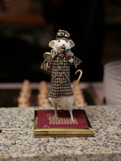 czeskimarian - Serio? Zabijać myszy po to, żeby je ubierać w dziwne ubranka? 

http...