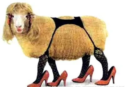 kuba70 - > A kozy są seksowne?



@Fallriv: