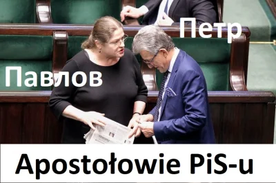 travis-bickle - Piotrow i Pawłow - apostołowie sprawiedliwości PiS-u z przeszłością w...