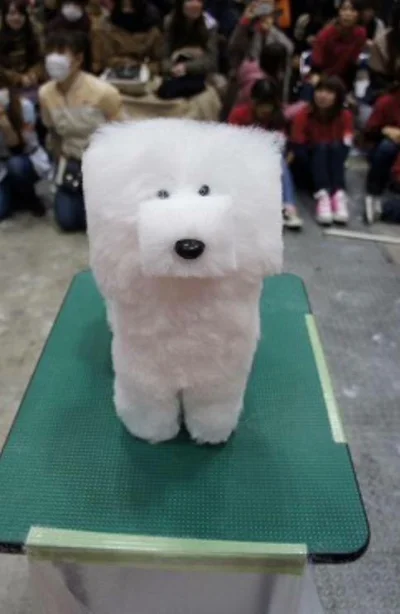 rzep - Nowa moda w Japonii to strzyżenie psów w kostkę.

#ciekawostki #japonia #roz...