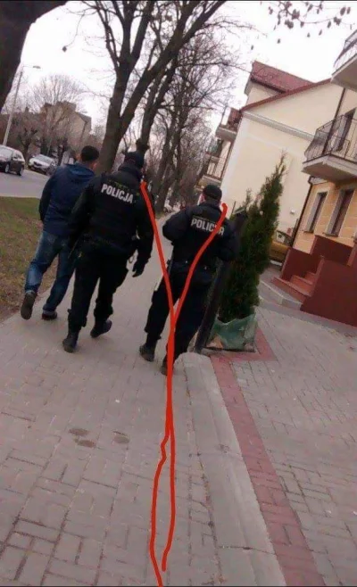 bArrek - Takie tam na spacerze ( ͡° ͜ʖ ͡°) #pokazpsa #smiesznypiesek #psy #policja #h...