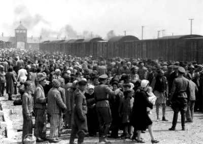 N.....h - #iiwojnaswiatowa #historia #fotohistoria #auschwitz #birkenau #oswiecim #br...