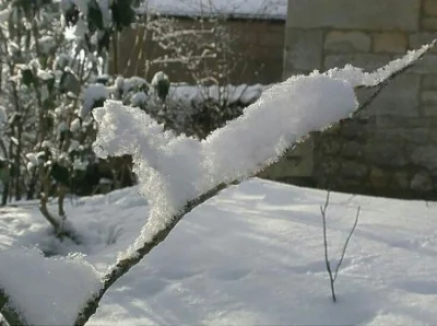 ansekabanseflore - Śnieżne kitku ( ͡° ͜ʖ ͡°)
#heheszki #zima #kitku