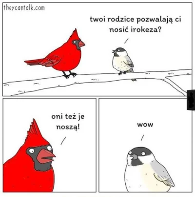 Krx_S - #humorobrazkowy #heheszki