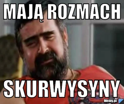 majwsik - Mój stan wiedzy nie pozwala mi na konkretne wypowiedzi w tym temacie - nie ...