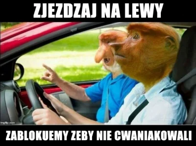 atencjon - #heheszki #humorobrazkowy #szeryfdrogowy #nosaczsundajski