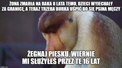dwapalcewnatalce - #memy #polak #feels #przegryw