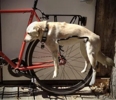 crejzus - @clapaucius: nie prościej kupić "rowerowy wieszak dla psa" ?

SPOILER