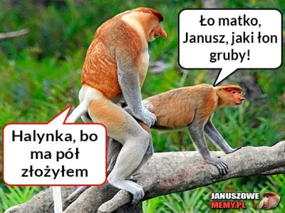 antek7531 - XDD #polak #heheszki #nosaczsundajski #janusznosacz #humorobrazkowy