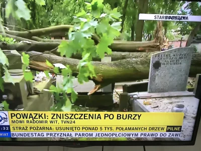 kris1289 - #TVN #tvn24 #informacje #chochlik #kaczka #wiadomosci #polska