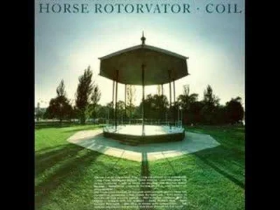 T.....h - Dzień 6: Nowatorska piosenka

Coil - Slur
Horse Rotorvator (1986)

#10...