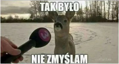 joannadeli - Tak bylo...