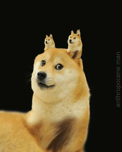 Spook - Dogeception...

#dogecoin #kryptowaluty