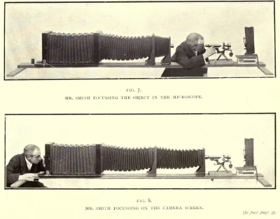 myrmekochoria - Arthur E Smith, Natura pod mikroskopem, 1909 rok. Bardzo ładna książk...