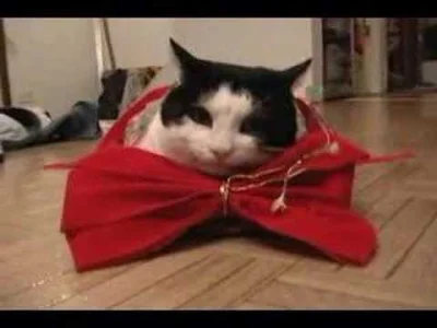 Arsobiak - @Huracan: 

Kot zwie się Flippy



dokładnie tego filmiku nie znalazłem al...