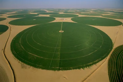 dawajlogin - Pola uprawne w Arabii Saudyjskiej( ͡° ͜ʖ ͡°)
#ciekawostki #rolnictwo #s...