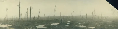kompocki - Oto krajobraz po bitwie pod Passchendaele. Zdjęcie to jest jednym z mnóstw...