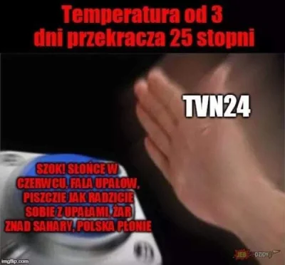 niedzwiedzmis - #TVN #bekaztvn