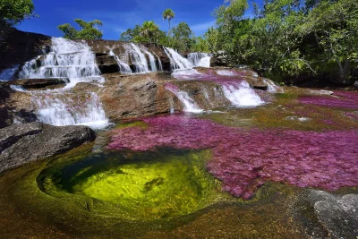 BorderColie - Caño Cristales uchodzi za najpiękniejszą rzekę świata. Ilość wodospadów...