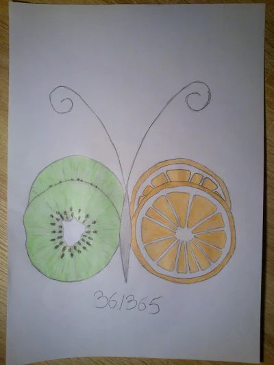 Martisza - 36/365 owoc +zwierzę. Pomarańcza i kiwi.
#365luty