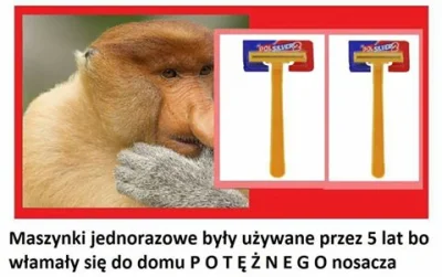 T.....h - ＰＯＴＥＺＮＹ　ＰＯＬＡＫ #potezny #polak #testoviron #heheszki #humorobrazkowy