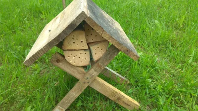 Piontek_Czynastego - zrobiłem domek dla pszuekʕ•ᴥ•ʔ
#pszczelarstwo