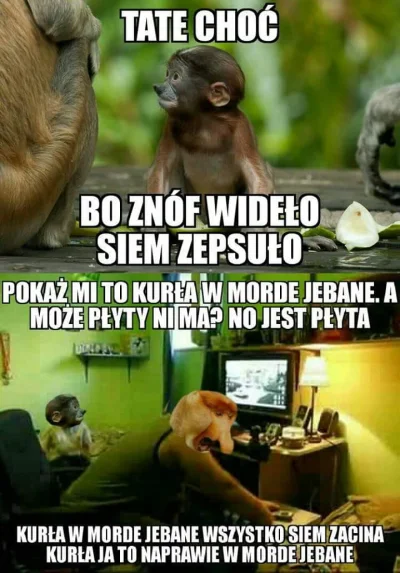 Deku - #heheszki #humorobrazkowy #dekucontent #nosaczsundajski #konkursnanajbardziejg...