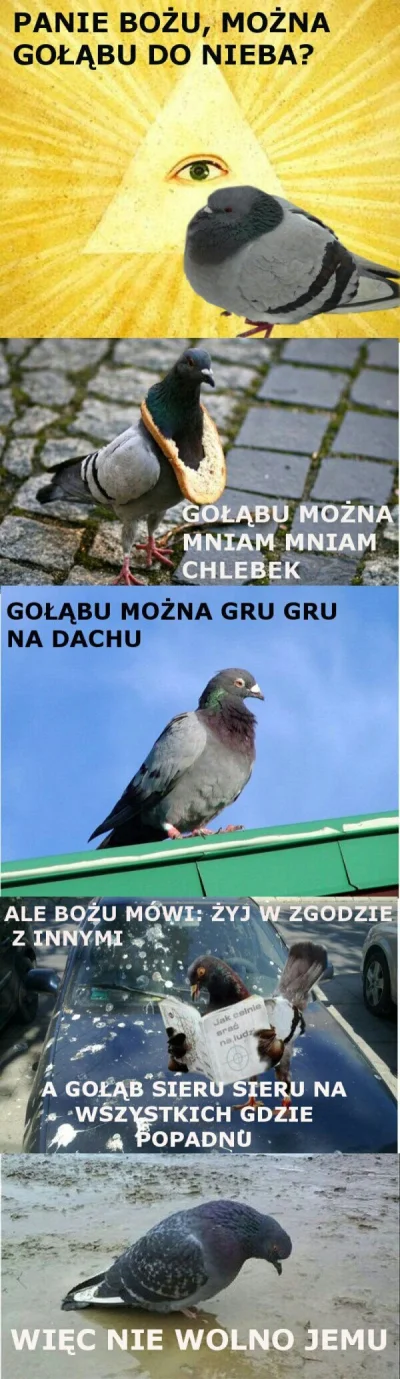 PodwozieByloZle - #heheszki #humorobrazkowy #kitku ( ͡° ͜ʖ ͡°)