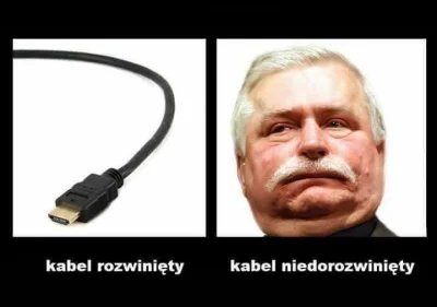 LawnmowerMan - #lechwalesacontent #lechwalesa #bolek #sb #megaloman #idiota #sprzedaw...