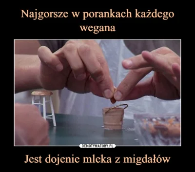 lollipops - @pufa13: @Z3r0: wege kiełbaski nie sa najgorsze, najgorzej to jak wstajes...