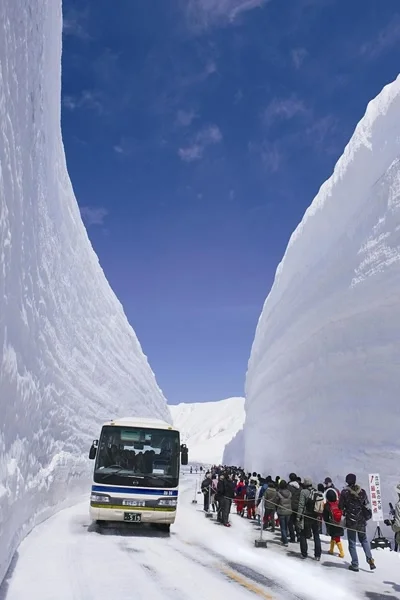 kurkuma - #podroze #fotografia #japonia #zima #zimaboners 

20 metrowe ściany śnieg...