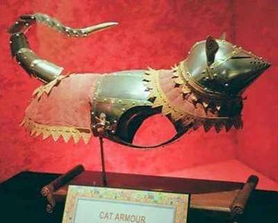 teflonzpatelnimismakuje - Zbroja dla krolewskiego kota o imieniu Dagobert, wykonana n...