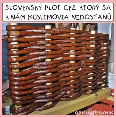 A.....n - Słowacka myśl techniczna . . . 

Wieprzowy płot graniczny.

#slowacja #wiep...