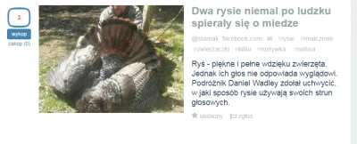 powsinogaszszlaja - Dwa rysie niemal po ludzku spierały się o miedze


A na zdjęci...