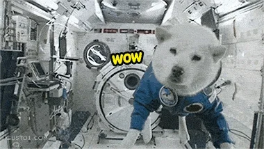 V.....d - #spacedoge #doge #gif #piesel