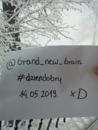 brandnewbrain - @inverter teraz lepiej? ( ͡~ ͜ʖ ͡°)