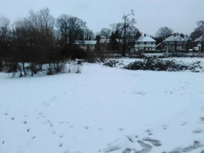 Uuk_ - Jak tam zima w waszych częściach #uk ? U mnie, w środkowej Anglii, tak...
#zim...