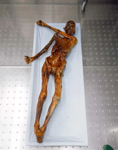 Sakura555 - Ötzi, człowiek zamrożony w lodzie. Całkiem dobrze zakonserwowany. Ma okoł...