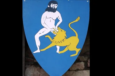 WujaAndzej - wystawa herbów na zamku w Chęcinach

dzielny rycerz walczy z lwem. str...