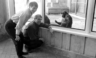 ciekawe-ciekawe - #ciekawostki Szympansy są w stanie nauczyć się języka migowego, a n...