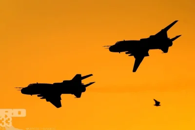 t.....m - Para polskich Su-22 i..
SPOILER

#heheszki #ptaki #lotnictwo #samoloty #air...
