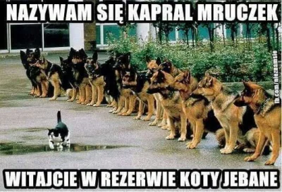 Cocat - #heheszki #humorobrazkowy