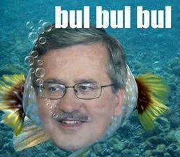 P.....k - #heheszki #prezydent #bulbulbul