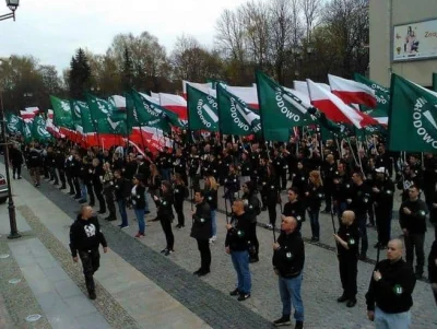 KremowkazWadowic - Sami ludzie renesansu znajdują się w szeregach ONR'u, a nie naziol...